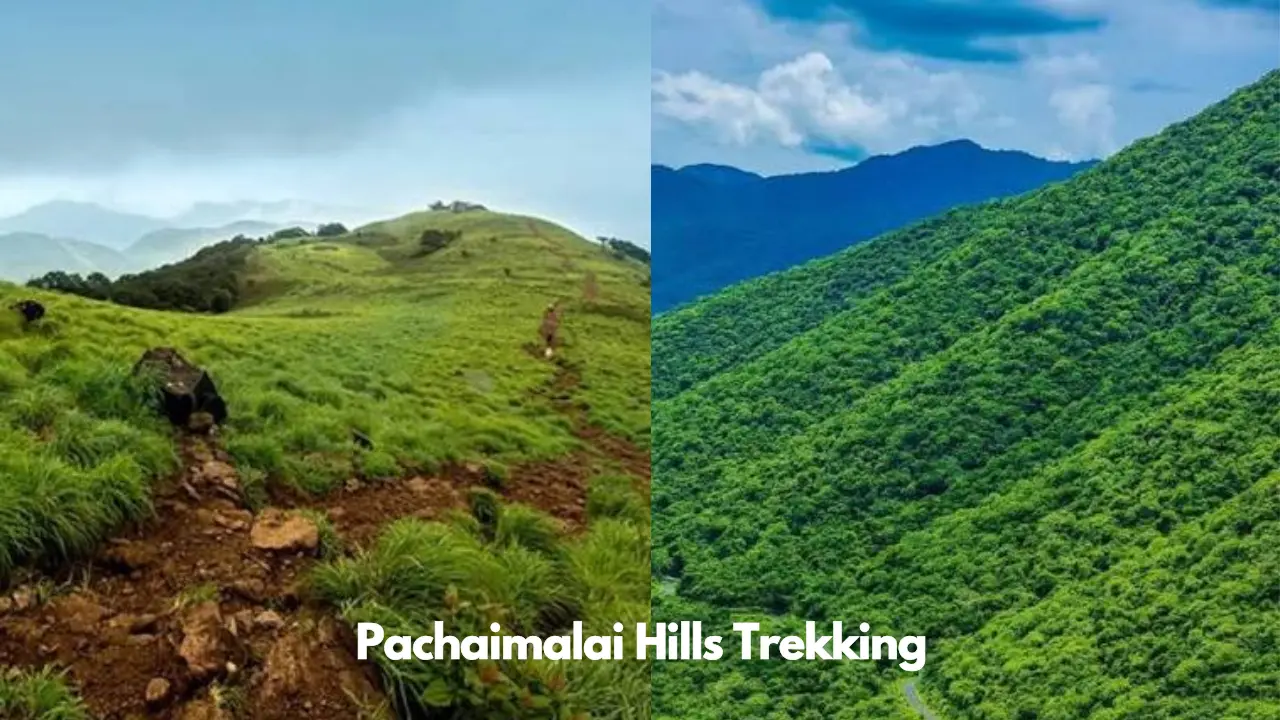 Pachaimalai Hills Trekking