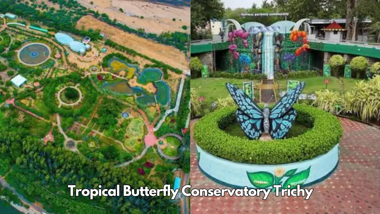 Tropical Butterfly Conservatory Trichy